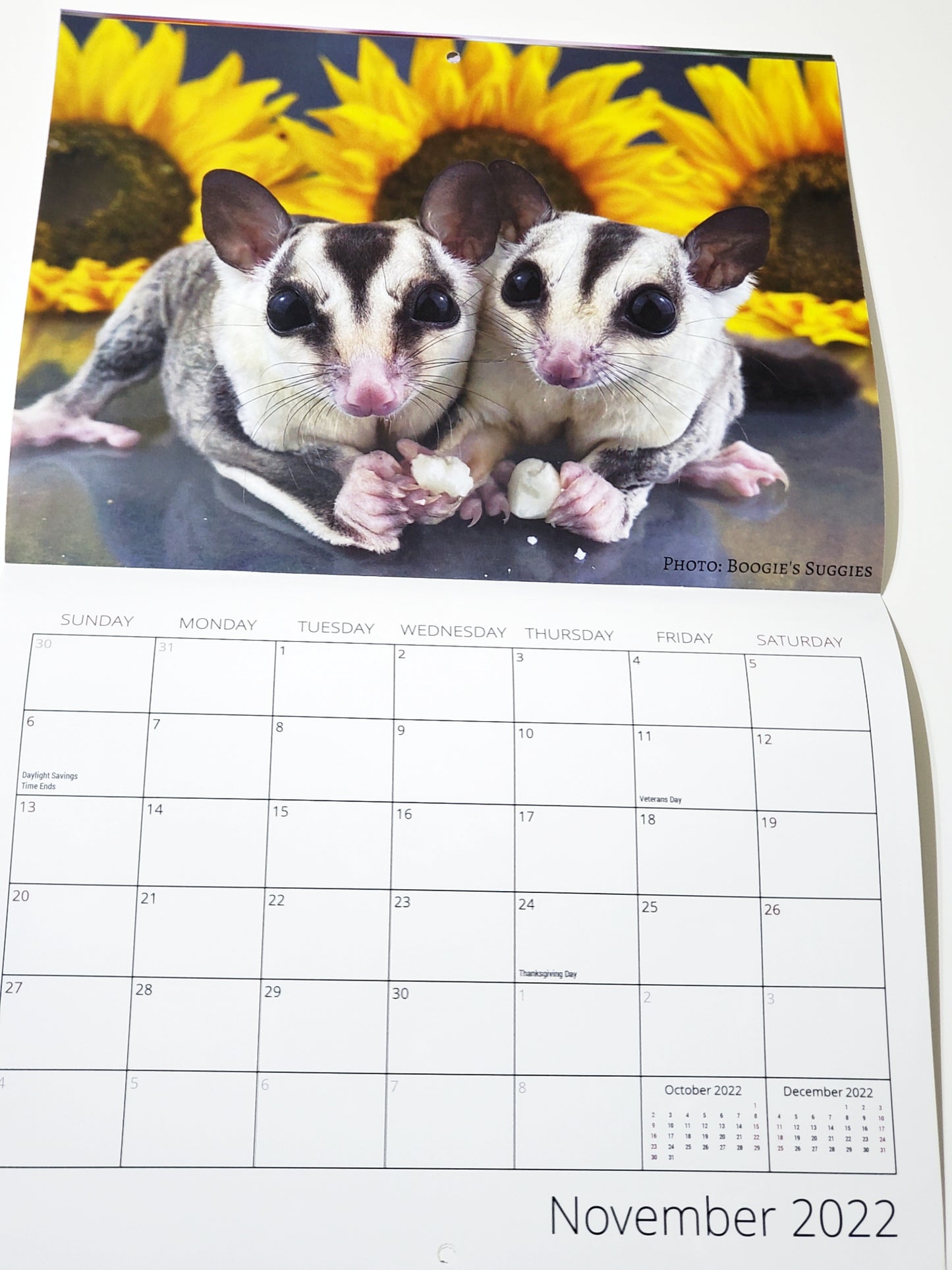 PRE-ORDER 2026 Crafty Glider Calendar