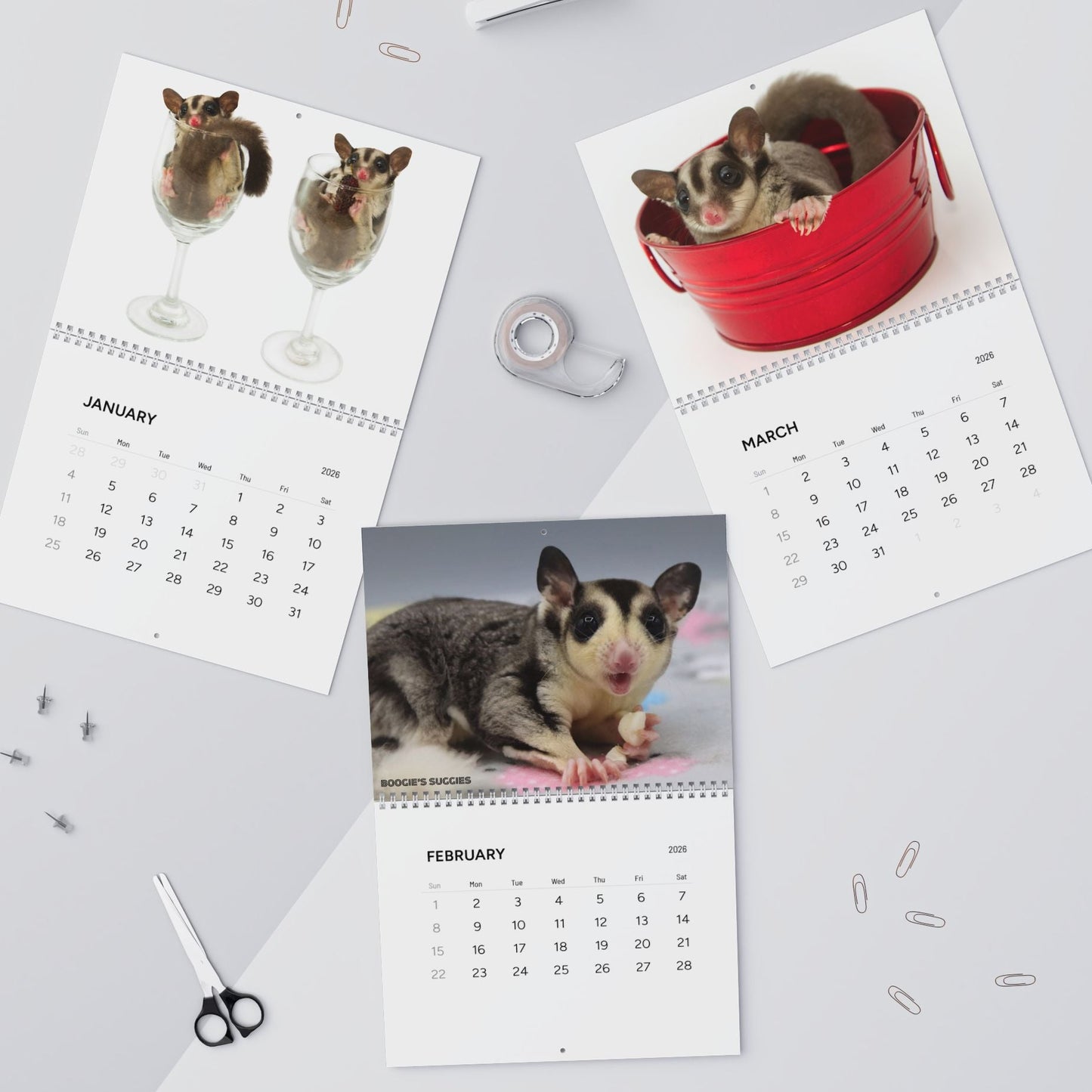 Three pages of a calendar featuring sugar gliders on a light gray background.